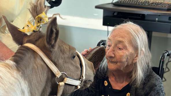 Discover how the nonprofit Gifted Wishes fulfills heartfelt final wishes for hospice patients from simple comforts to joyful reunions in life’s final chapter.