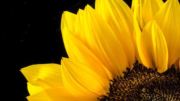 What is a Death Doula?