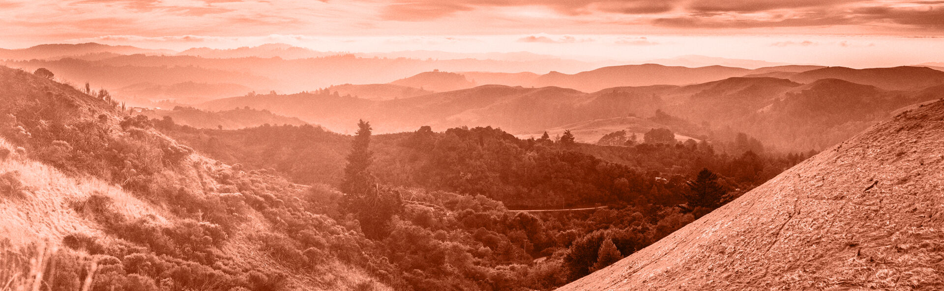 Santa Cruz Watsonville Cremation and Burial Service  locationbanner
