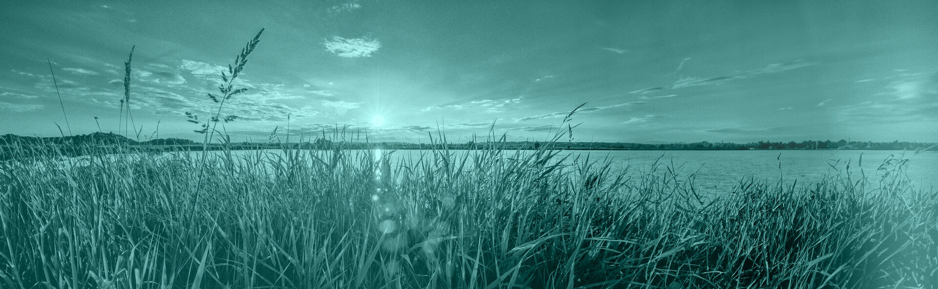 Twin Cities Cremation  locationbanner