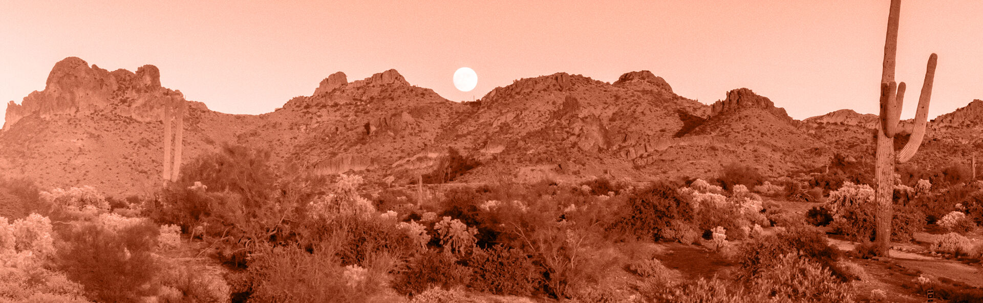 AZAD IMAGE 1920X592.jpg