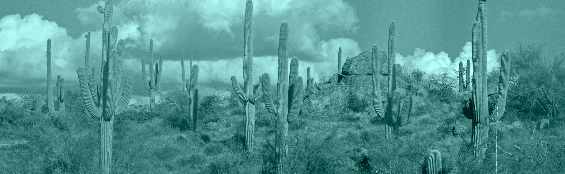 AZLG IMAGE 1920X592.jpg