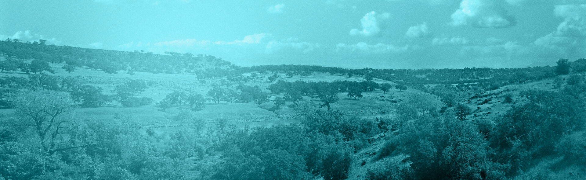 CAACN IMAGE 1920x592.jpg