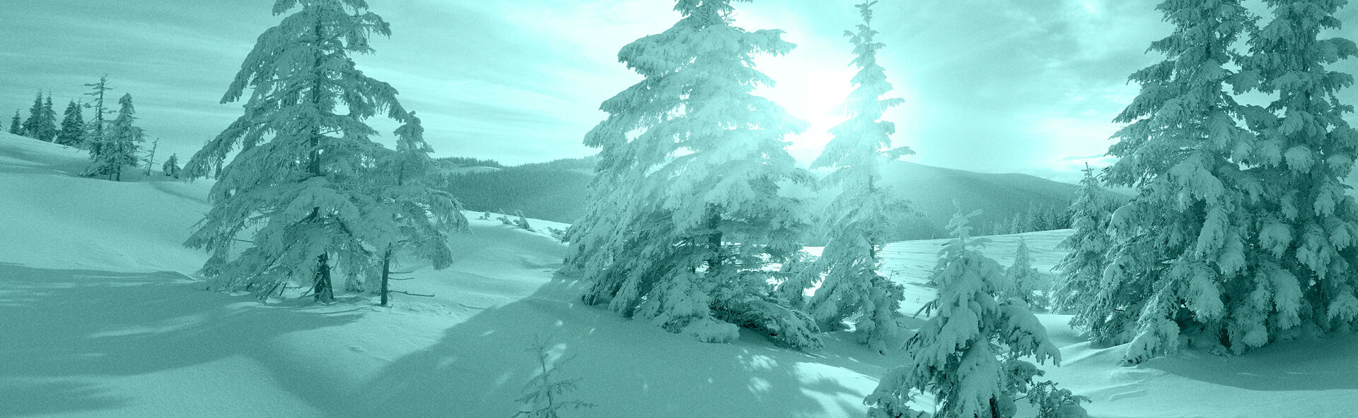 CO ALL-STATES IMAGE 1920x592.jpg