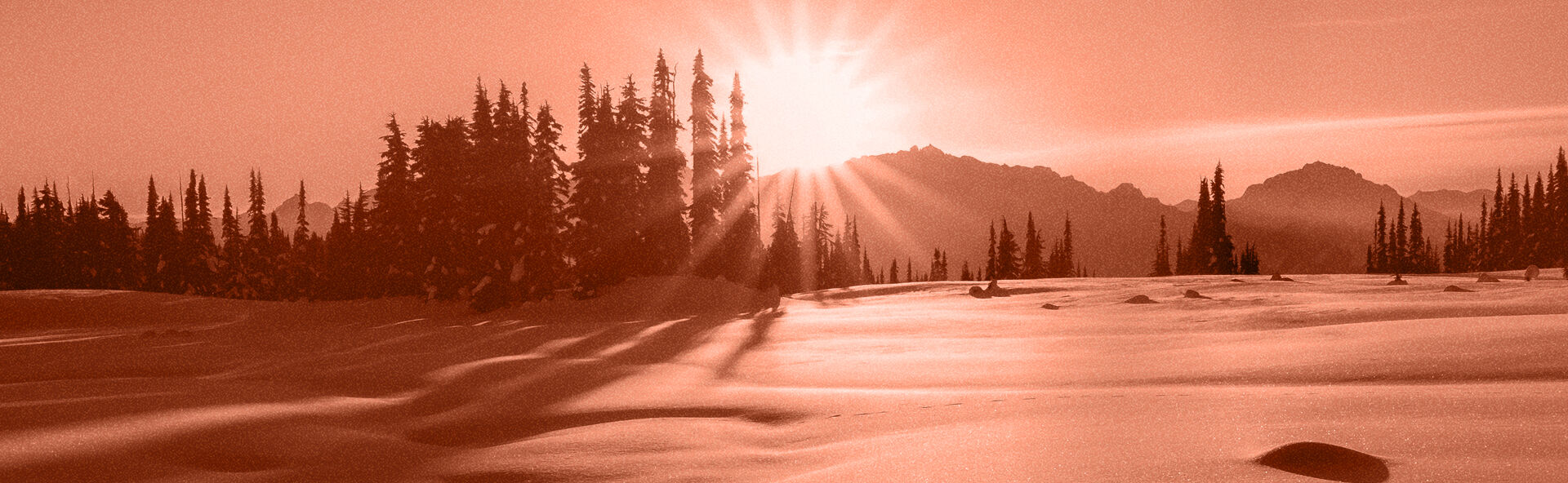 CO ASPEN IMAGE 1920x592.jpg