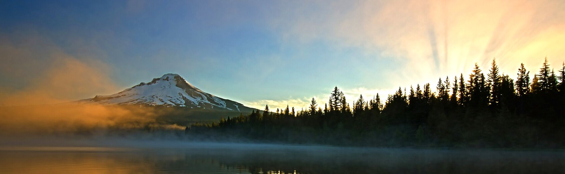 CROWN IMAGE_1920X592.jpg