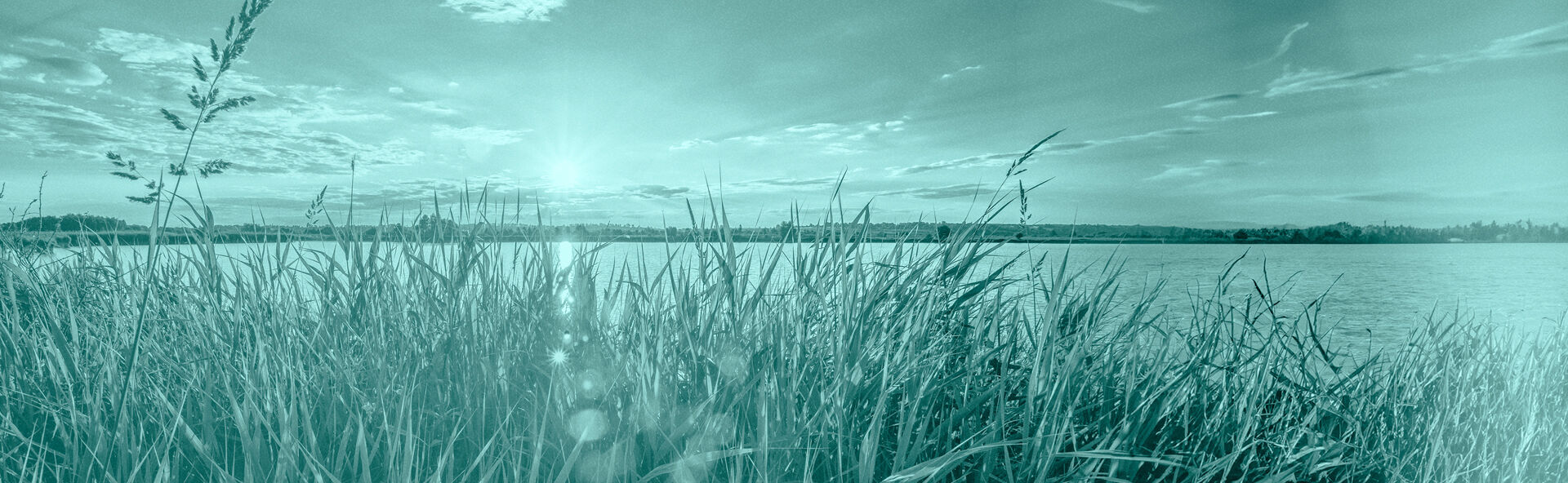 FLAD IMAGE 1920X592.jpg