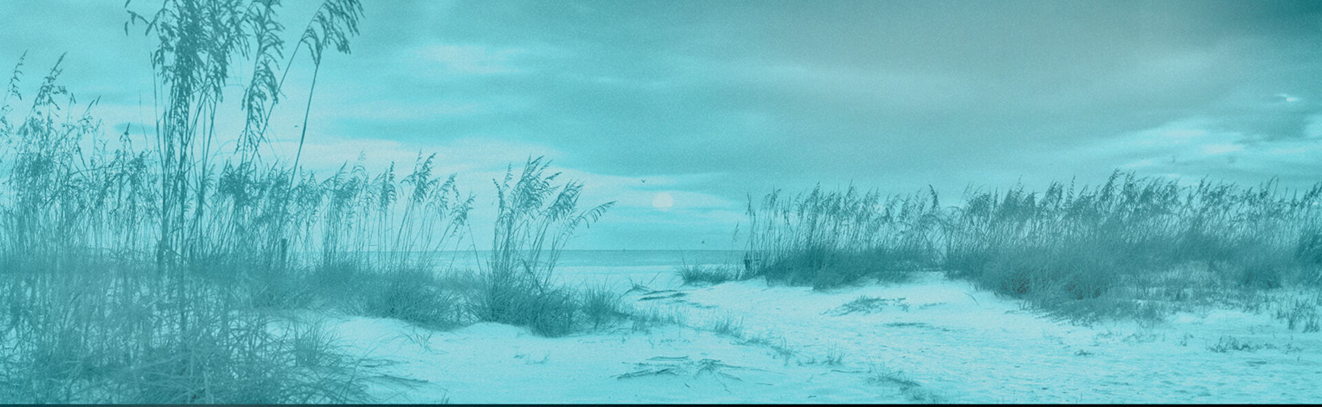 FLORH IMAGE 1920x592.jpg