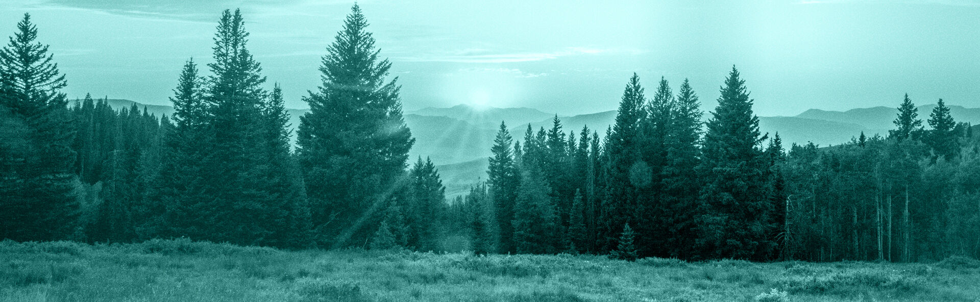 IDFL IMAGE 1920x592.jpg