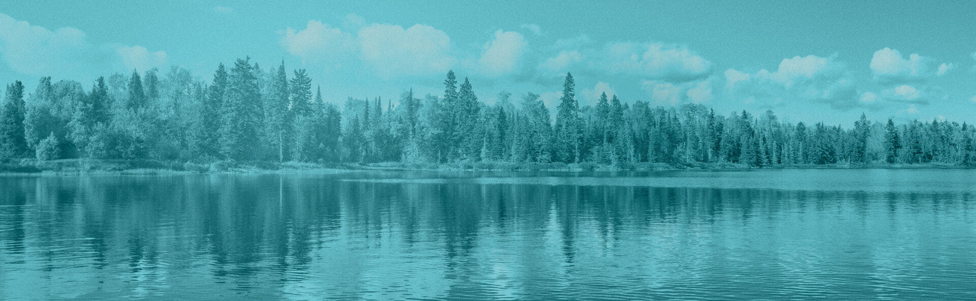 MNWGA IMAGE 1920x592.jpg