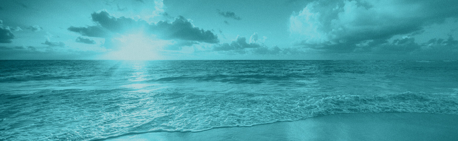 SC Simplicity IMAGE 1920x592.jpg