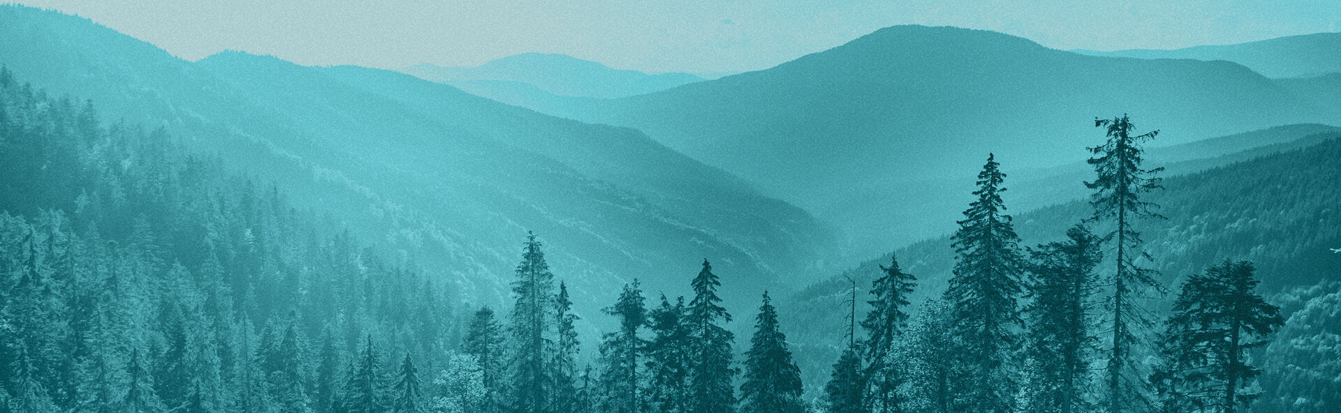 The Springs Funeral Services - North  locationbanner