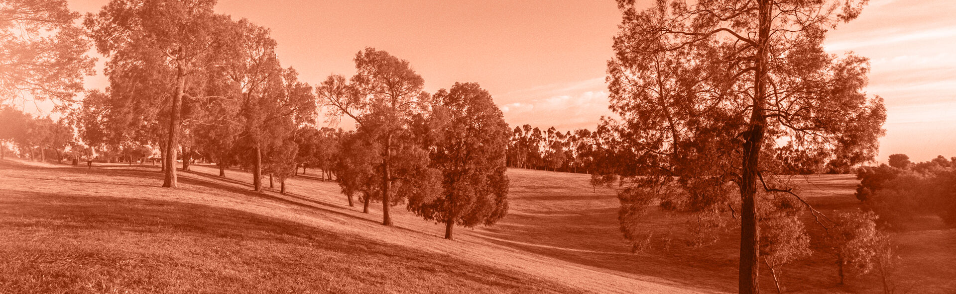 Chico Cemetery  locationbanner