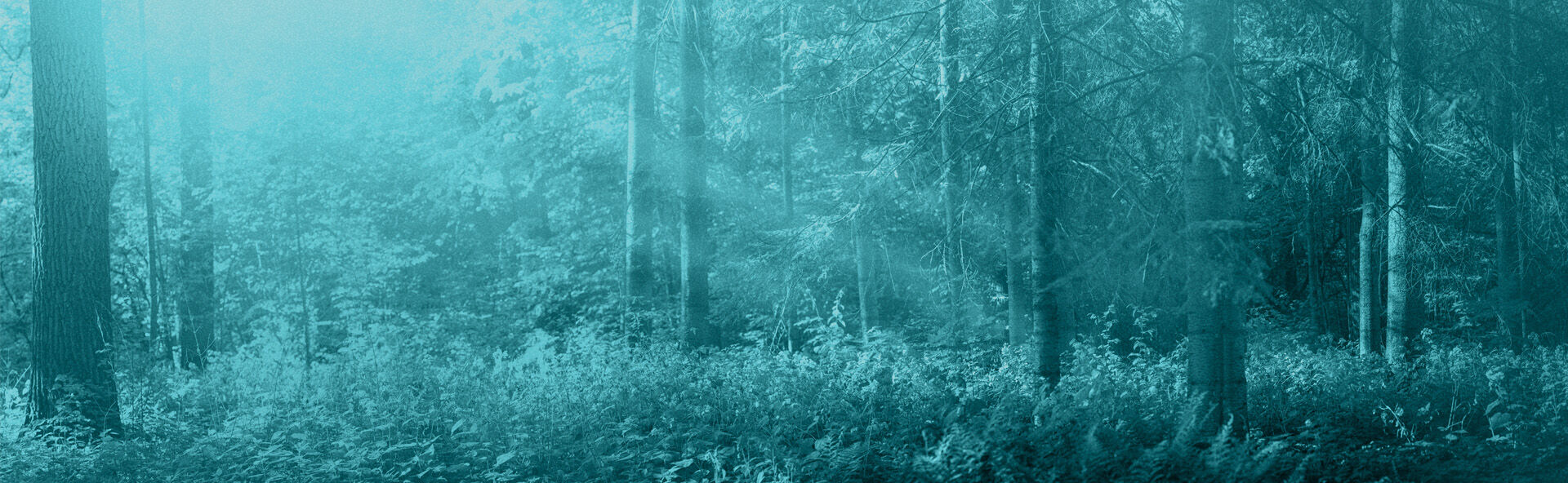 Glen Haven Memorial Gardens  locationbanner