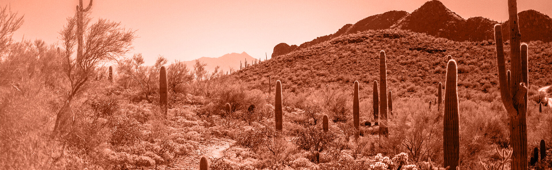 Desert Sunset Funeral Home  locationbanner