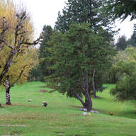 Photo of Valley Memorial Park in Hillsboro, Oregon