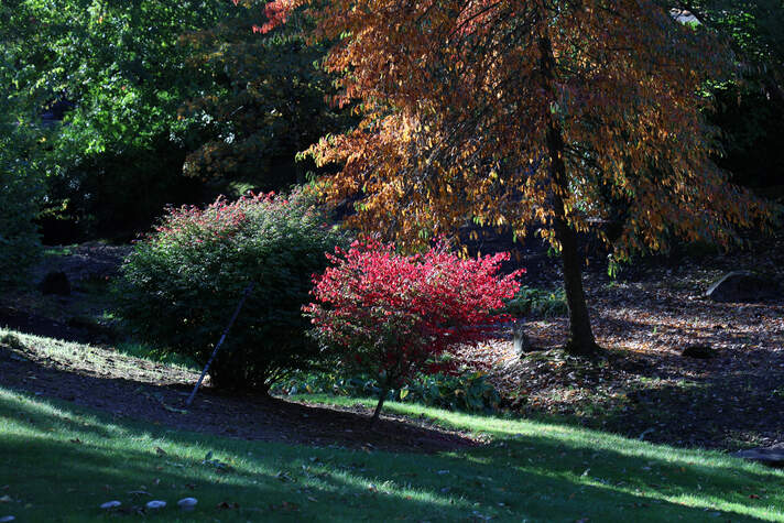 Photo of Sunnyside Memorial Garden in Happy Valley, Oregon