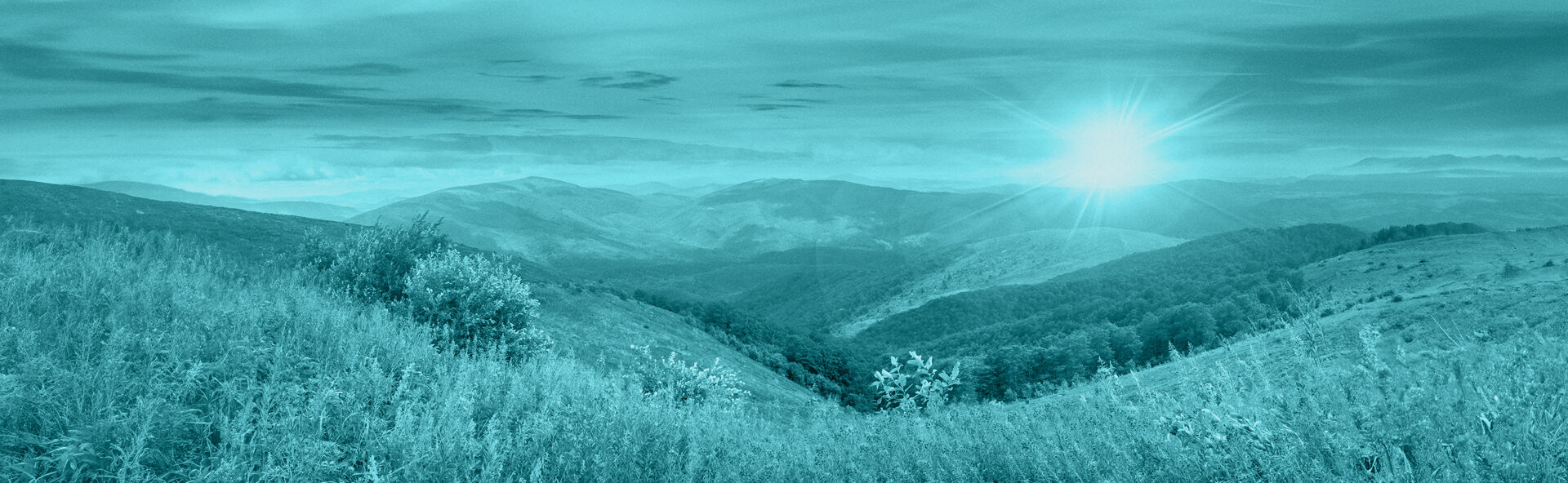 Beers and Story - Palmer  locationbanner
