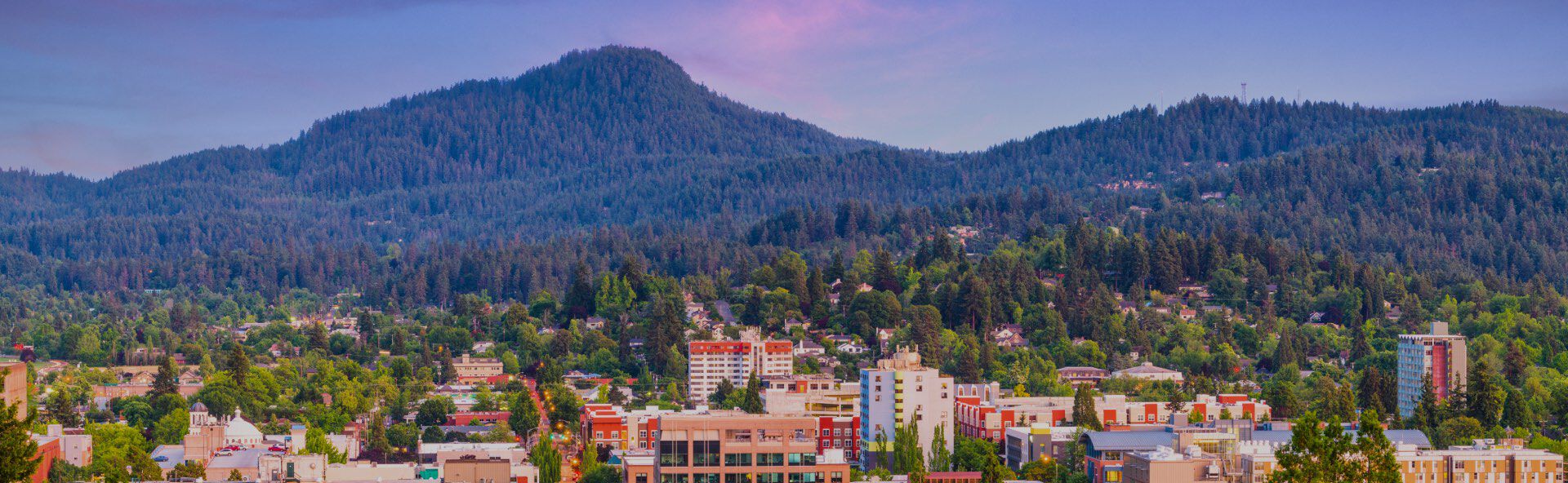 Alpha Cremation Services  locationbanner