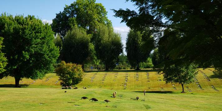 Photo of Valley Memorial Park in Hillsboro, Oregon