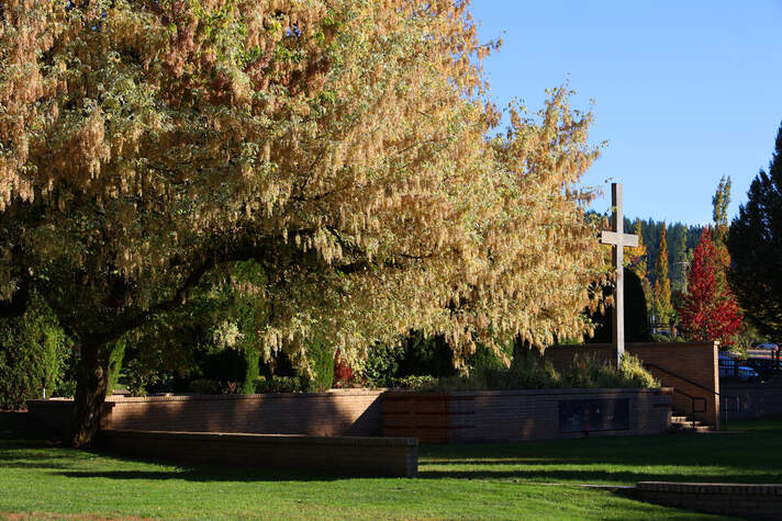 Photo of Sunnyside Memorial Garden in Happy Valley, Oregon