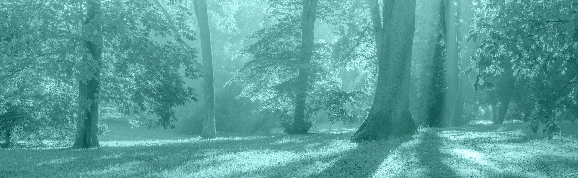 A. Dewitt Memorial Funeral Homes & Cremation Services  locationbanner