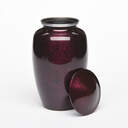 Serenity Alloy Urn image number 11