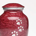 Pawprints of Love Urn image number 10