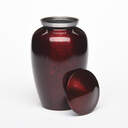 Serenity Alloy Urn image number 8