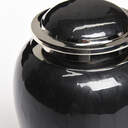 Enchanted Elegance Cremation Urn - Black image number 3
